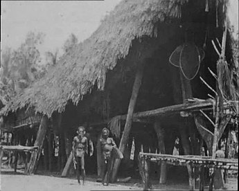 Ausschnitte aus dem Filmmaterial, das der Wiener Anthropologe Rudolf Pöch (1870–1921) in den Jahren 1905 bis 1906 bei seiner Expedition nach Neuguinea aufgenommen hat.