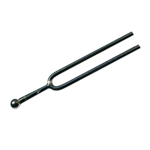 Die Vibration einer Stimmgabel. Der Beginn der modernen Tonaufzeichnung?