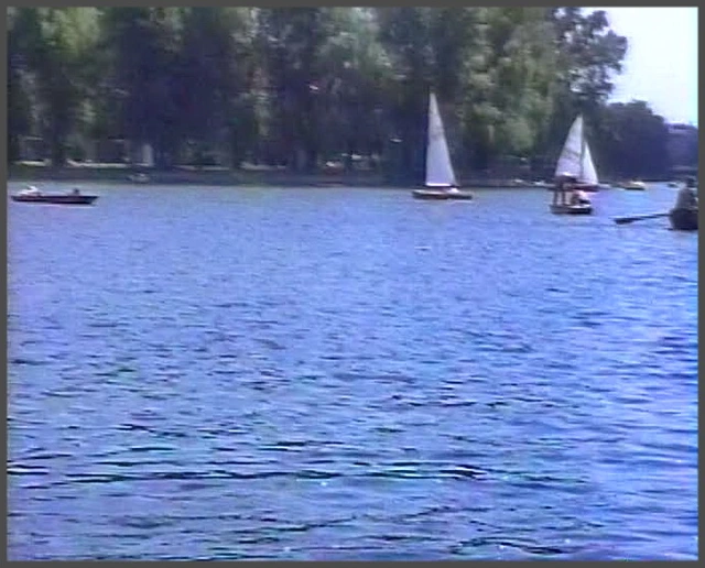 Videostill der Alten Donau, Wien