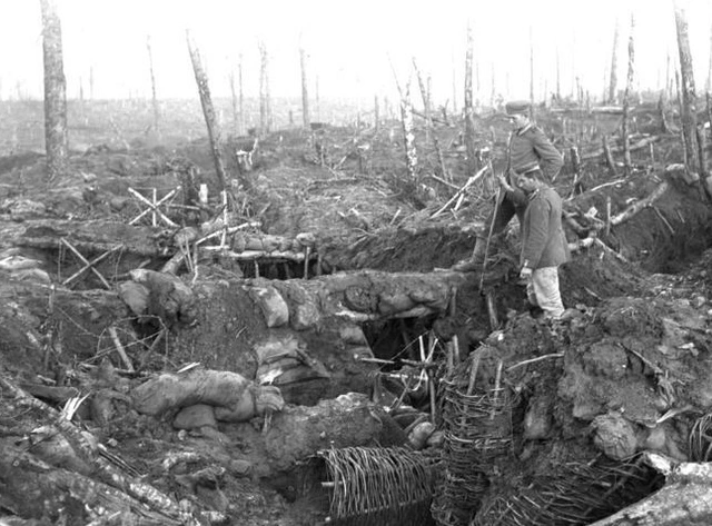 Deutsche Stellung in den Argonnen 1915