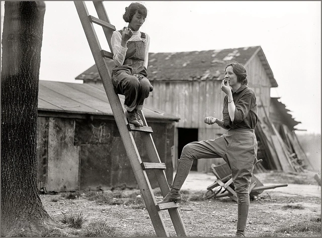 Frauen im Kriegs-Einsatz in der Landwirtschaft, USA 1918