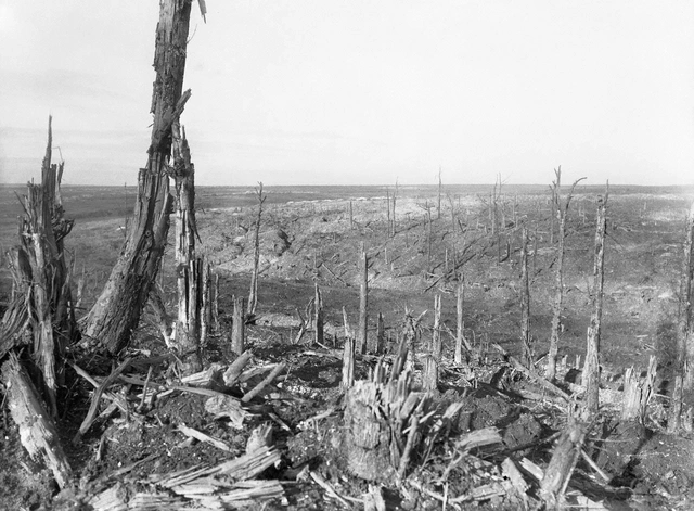 Das völlig zerstörte Dorf Beaumont Hamel - Somme-Schlachtfeld