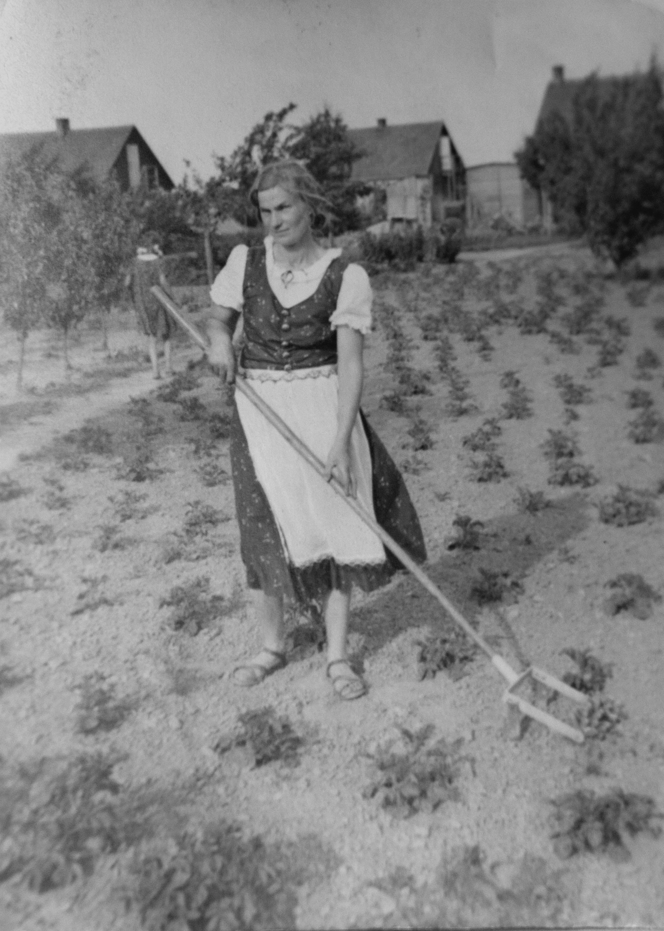 Eine Frau in Dirndl arbeitet auf einem Feld. Im Hintergrund ist ein Haus und eine Scheune sichtbar.