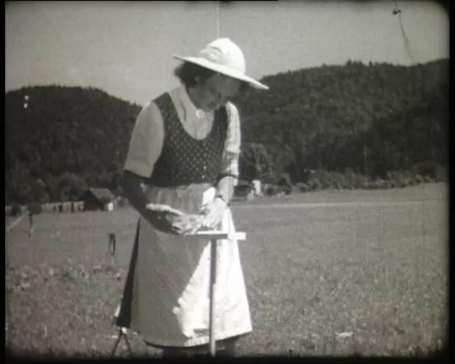 Forschungsarbeit. Filmstill aus: Die Tänze der Bienen