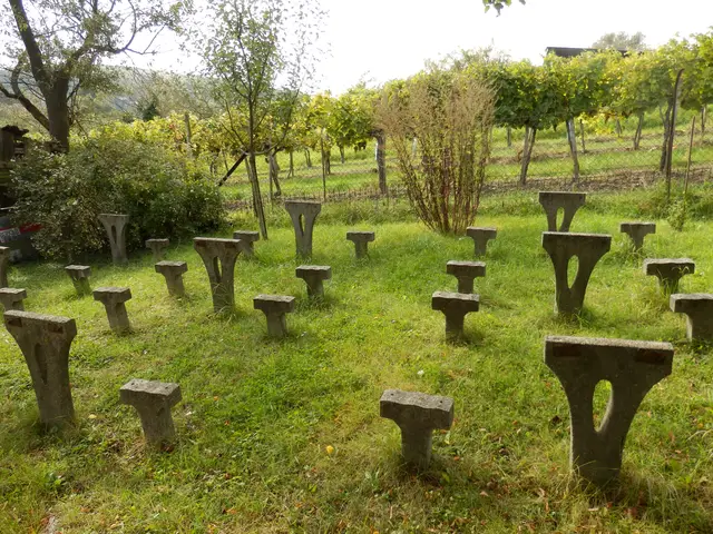 <p>Der Garten des ehemaligen Heurigen "Riecke-Humbs", 2014. "Humbs-Wetter" nannten Stammgäste laue Abende zum Sitzen im Freien.</p>