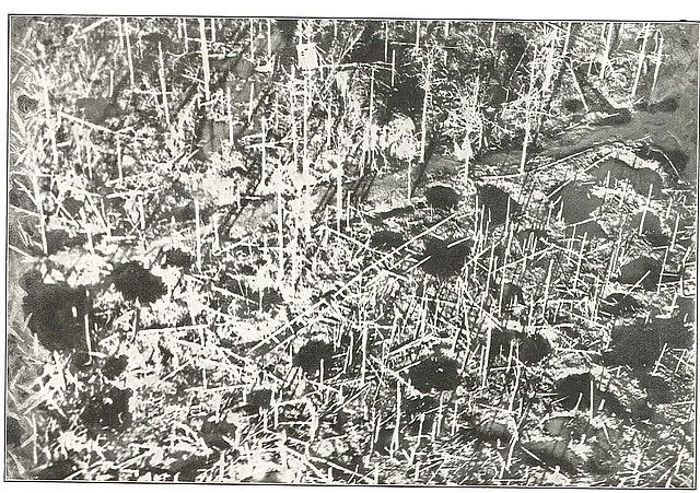 Völlig "zertrommelte" Landschaft bei Ypern
