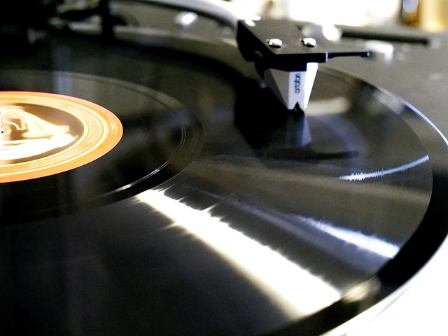 <p>Professional Record Players for 78s</p>