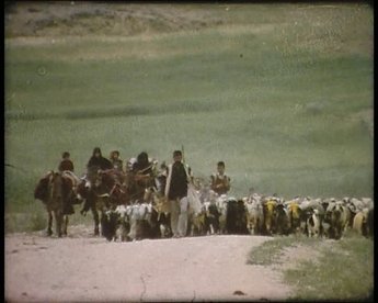 63 Jahre nach der Herstellung des ethnologischen Klassikers "Grass" durch Merian C. Cooper und Ernest B. Schoedsack filmte der persische Filmemacher und Ethnologe Farhad Varahram die im Jahr 1925 dokumentierte Wanderung (Taras) im Jahr 1988 neu.