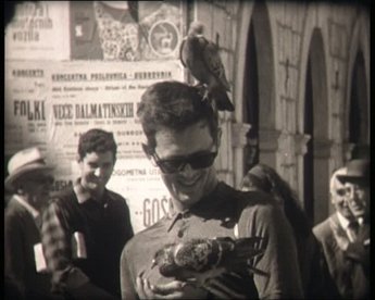 Verhalten von Menschen gegenüber Tauben in Dubrovnik/Kroatien: "Die Tauben sind eine Attraktion für die Fremden; die Einheimischen sind von klein an mit ihnen vertraut. Offizielle Fütterung durch die Gemeinde." (Aus dem Verleihkatalog)