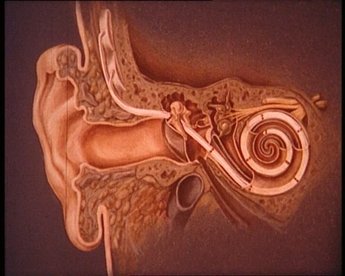 Ein Beispiel für eine medizinische Dokumentation ist der Lehrfilm "Die Wiener Cochlear-Prothese" aus dem Jahr 1981. 
Demonstriert wird das Einsetzen eines Cochlear-Implantates mit 4-Kanal-Elektrode sowie die postoperative Anpassung des Sprachprozessors und Tests mit freien Wortlisten und Sätzen an Patient/innen.