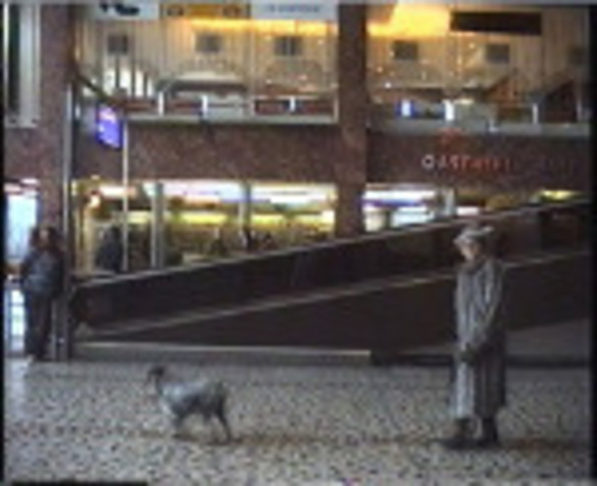 Ein Videostill, das eine alte Frau mit einem kleinen Hund an der Leine in der Halles des alten Wiener Südbahnhofs zeigt.